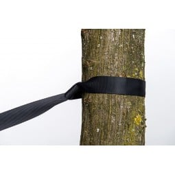 Amazonas Baumschutz Nahaufnahme
