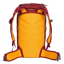 Impulse 30 burgundy Tagesrucksack Rückseite