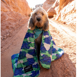 Therm-a-Rest Juno Blanket im Einsatz auf Hund