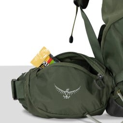 Hüftgurttasche am Osprey Kestrel 38 Rucksack Bonsai Green