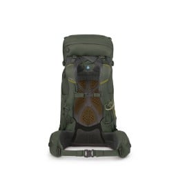 Osprey Kestrel 38 Rucksack Bonsai Green mit gepolstertem Tragesystem