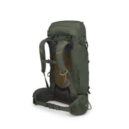 Osprey Kestrel 38 Rucksack Bonsai Green Rückseite