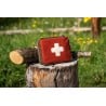 Waldkauz Erste-Hilfe-Set AIDgenosse auf einem Baumstamm