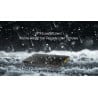 Nitecore NB10000 Powerbank Gen 3 mit IPX5 (gegen Spritzwasser geschützt)