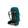 Rückseite Osprey Tempest 34 Wanderrucksack Jasper Green