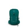 Frontansicht Osprey Tempest 24 Wanderrucksack Jasper Green