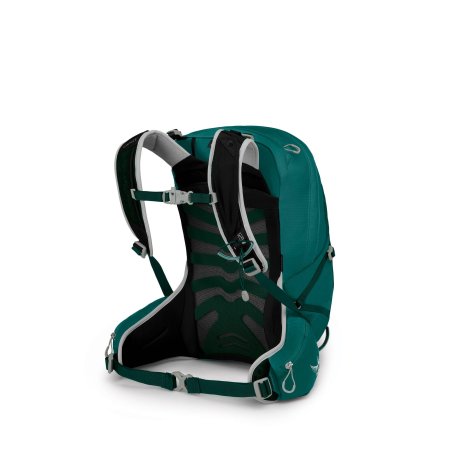 Rückseite Osprey Tempest 20 Tagesrucksack Jasper Green