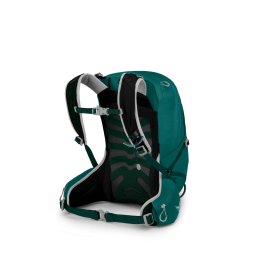 Rückseite Osprey Tempest 20 Tagesrucksack Jasper Green