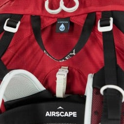 Osprey Talon 36 Wanderrucksack ist höhenverstellbar und für Trinksysteme vorbereitet
