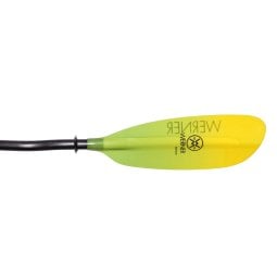 Werner Camano Bent citrus