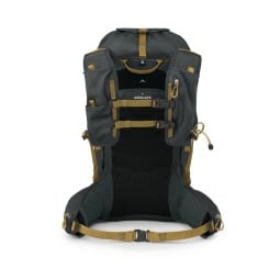 Osprey Talon Velocity 30 Tagesrucksack Rückansicht