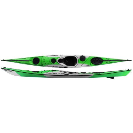 Aquarius Sea Lion LV grün-grau pro+