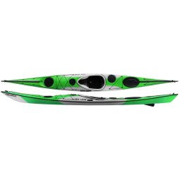 Aquarius Sea Lion LV grün-grau pro+
