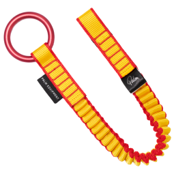 Palm Cowtail Pro | Walkonthewildside
