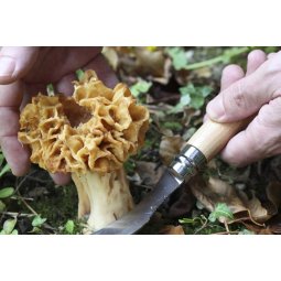 Opinel Pilzmesser No 08 mit Bürste mit rostfreier Klinge