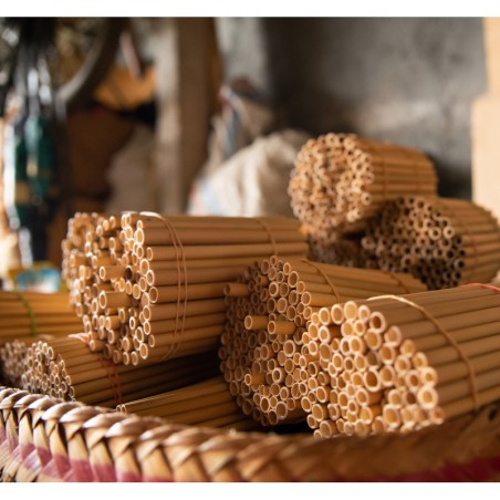 Rohstoff für den EOE Ria Bamboo Trinkhalm