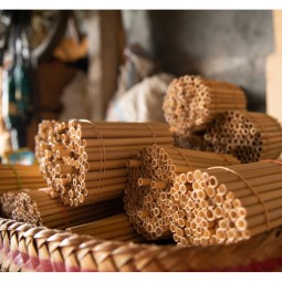 Rohstoff für den EOE Ria Bamboo Trinkhalm