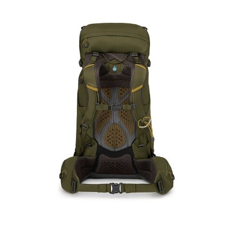 Osprey Kestrel 38 Rucksack Moss Green Rückenansicht