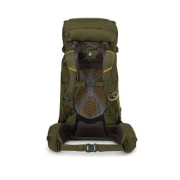 Osprey Kestrel 38 Rucksack Moss Green Rückenansicht
