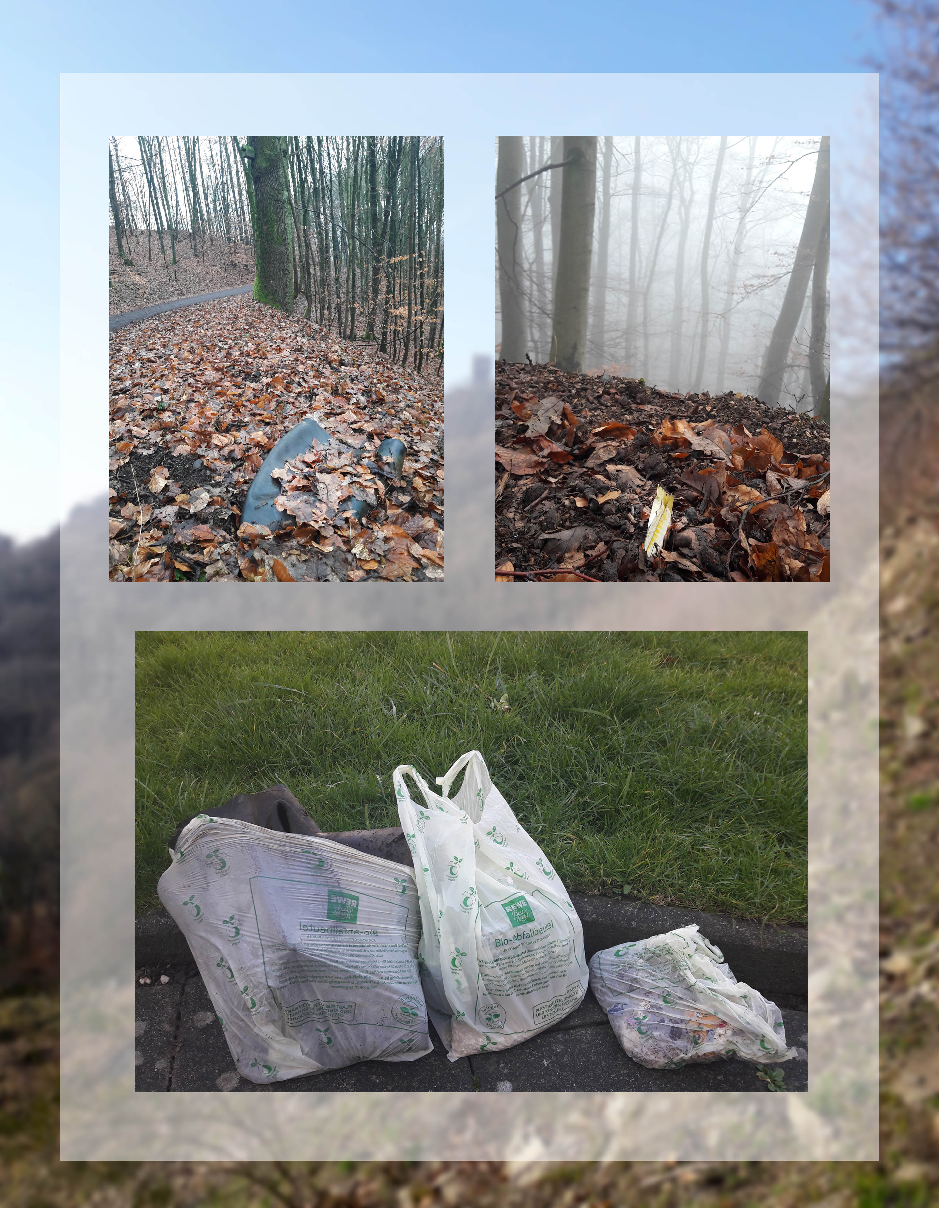 Diverse Müllsorten, die sich im Siebengebirge finden lassen