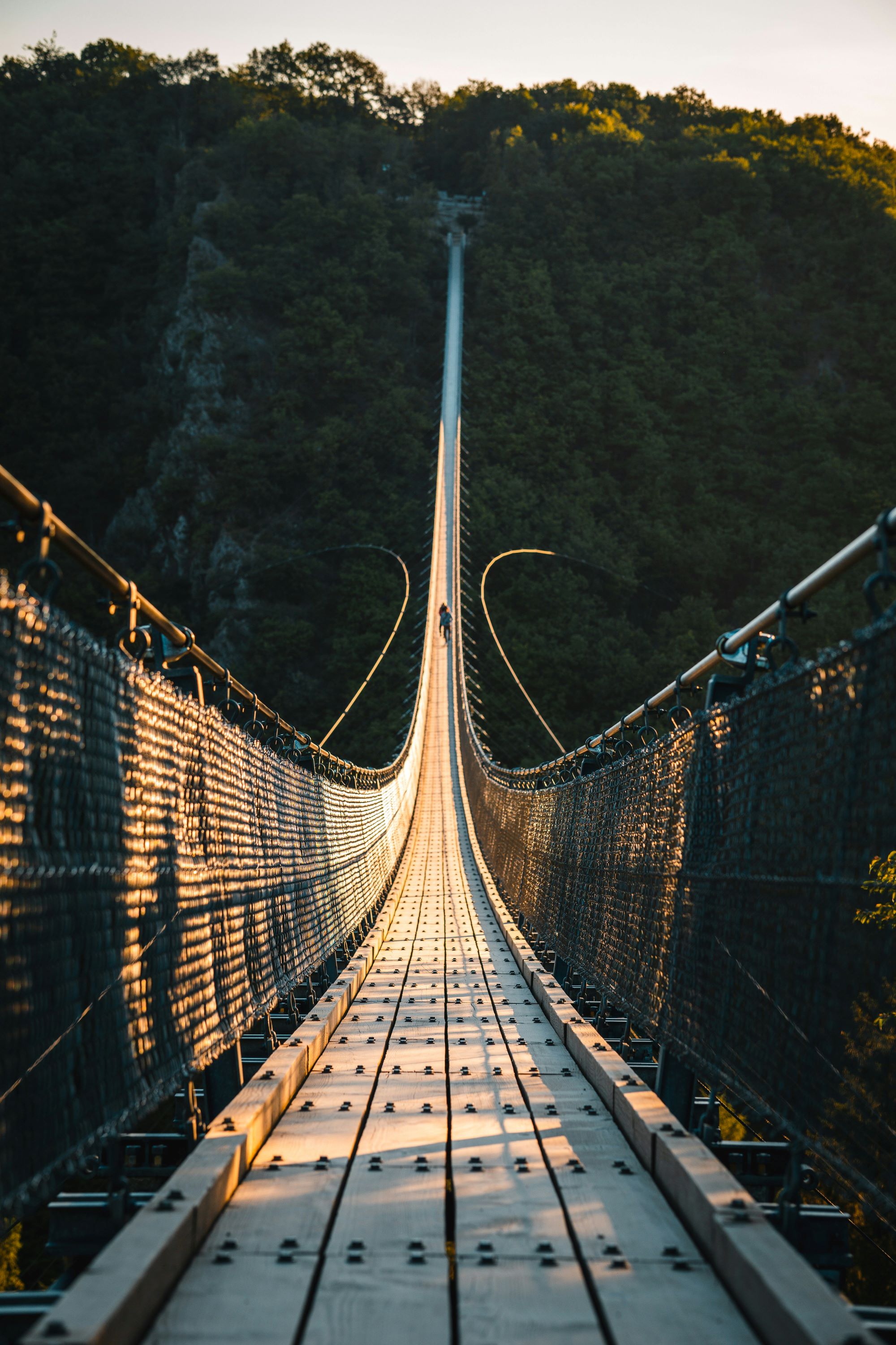 Berühmter Ausblick auf die Geierlay Hängebrücke im Hunsrück