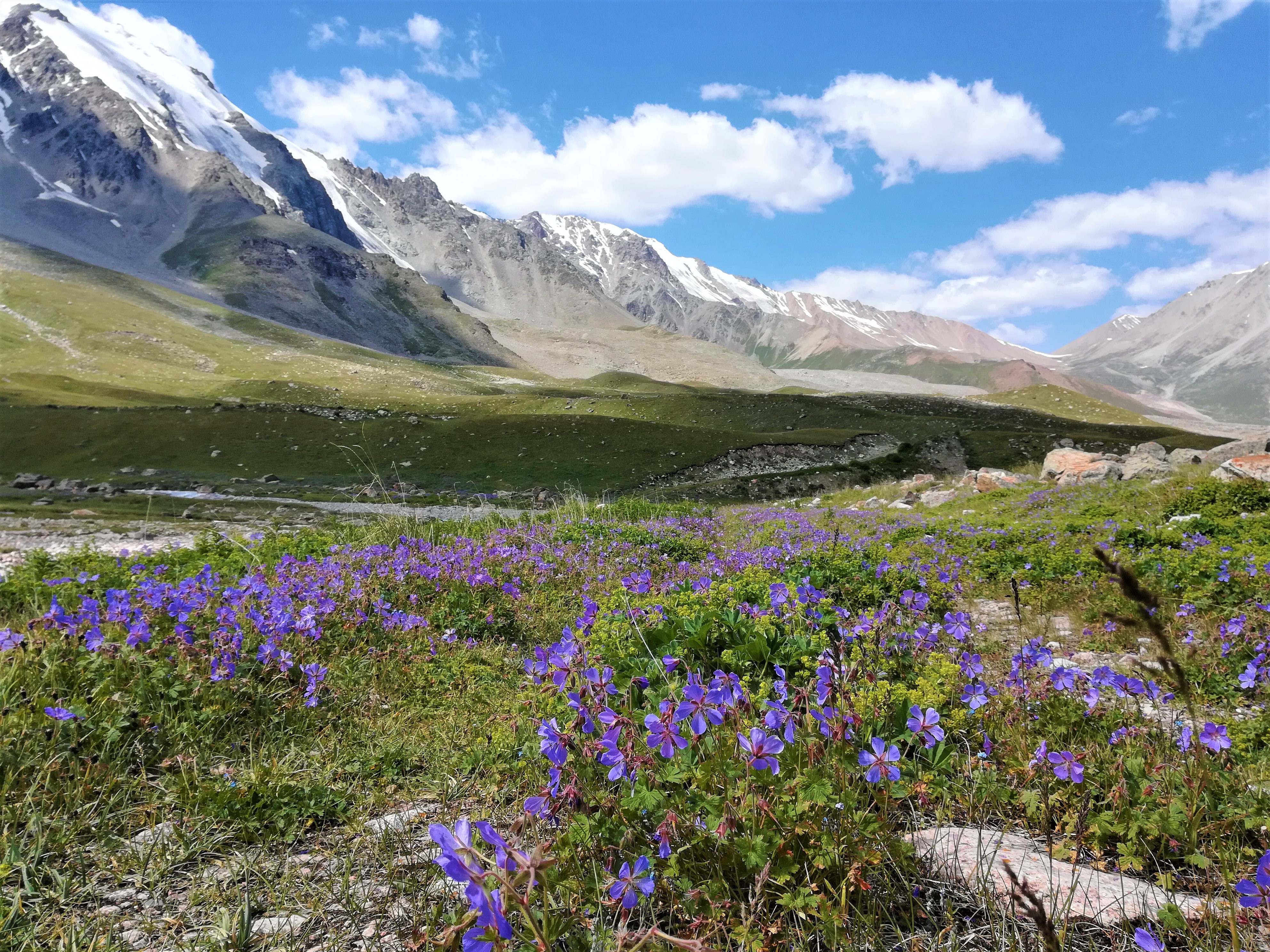 Abwechslungsreiche Natur in den Bergen