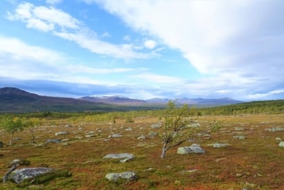 Schwedische Berglandschaft