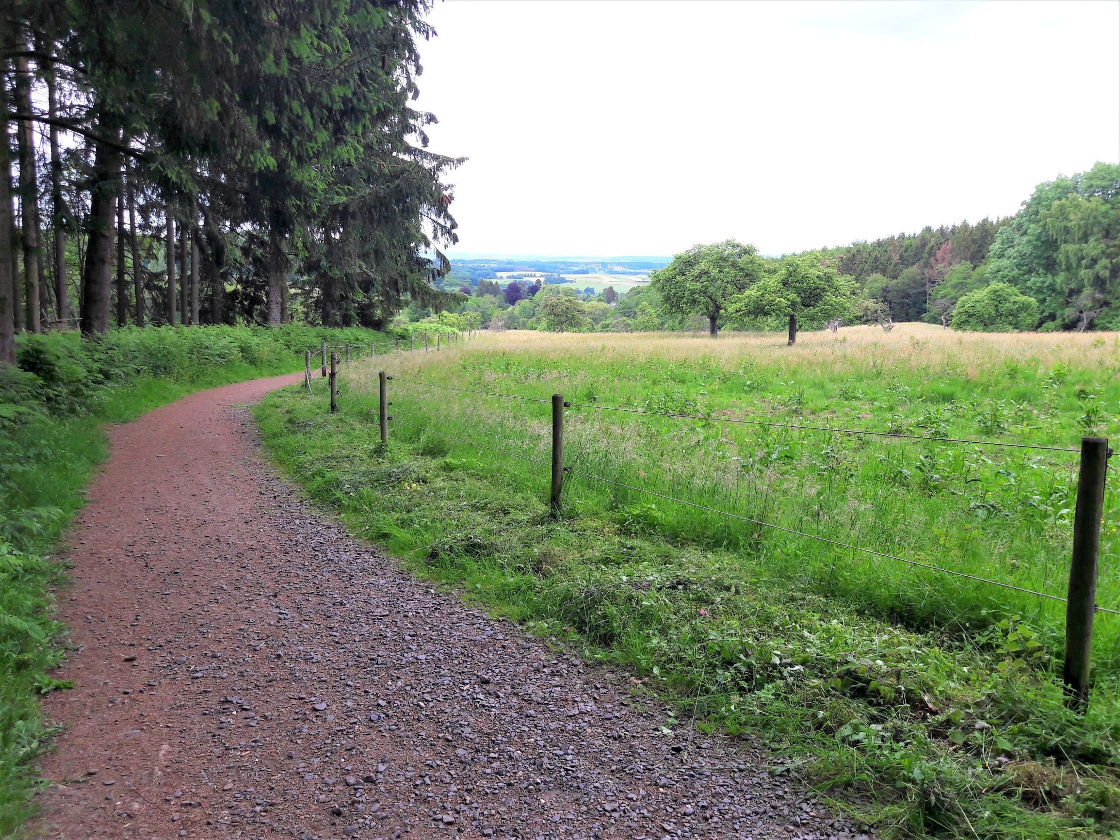 Aussicht Wildpflanzenwanderung