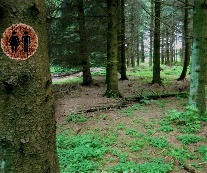 Unterwegs ist oft der Wald die einzige Toilette weit und breit