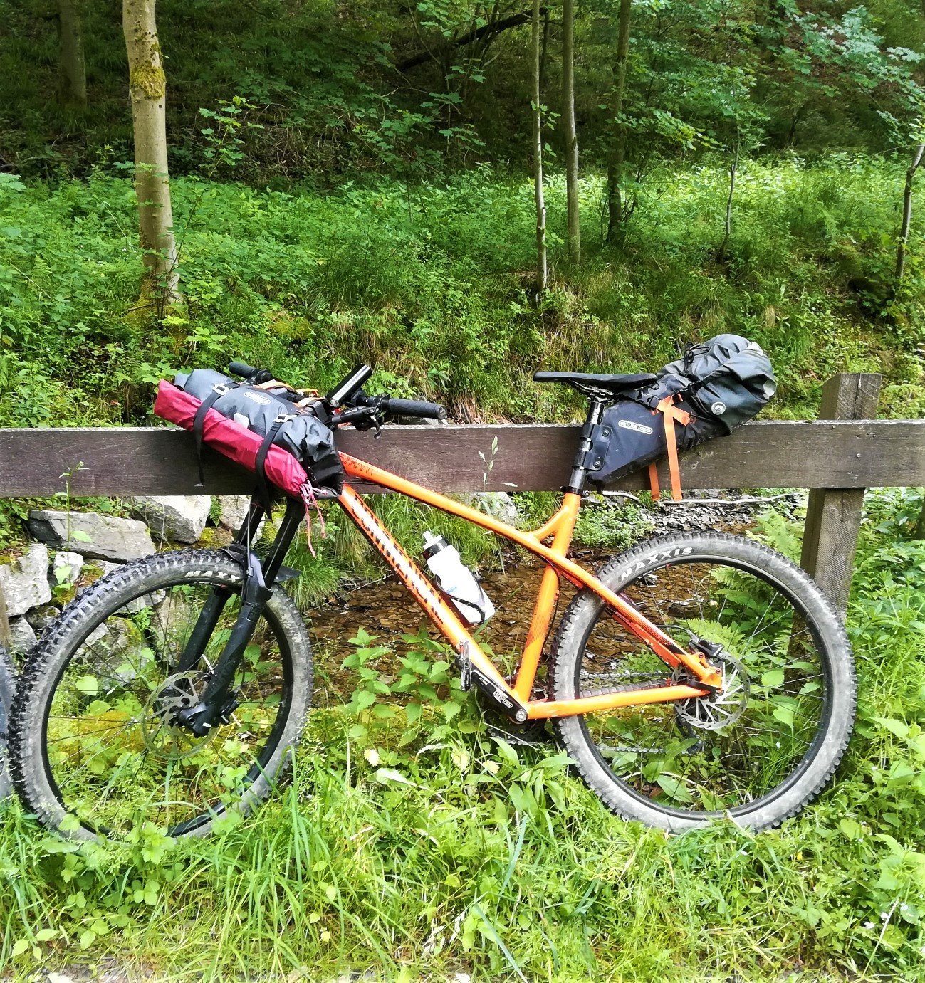 Bikepacking Rad im Wald