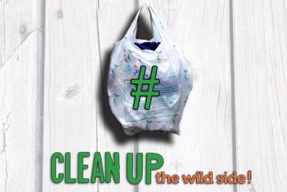 Clean Up the wild side