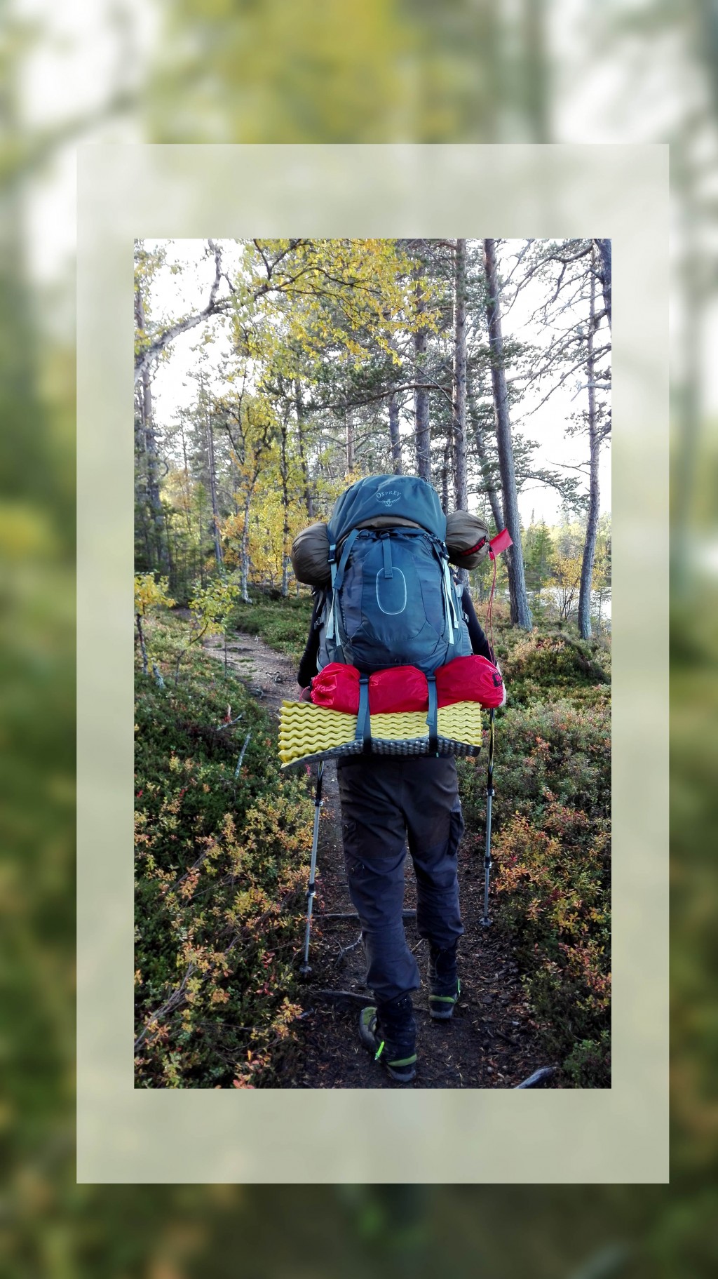 eulenwanderweg tarp Traveller XXL - das Regendach für Hängematten ⛺ vorbau Mountain Equipment - Starlight Awning Brand:Thule