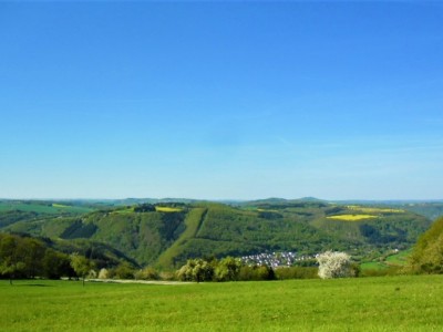 Bergschluchtenpfad Ehrenburg - Traumpfad an der Mosel