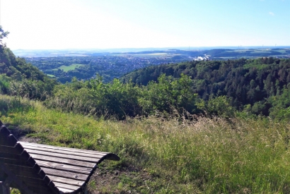 Förstersteig - Traumpfad Rhein-Mosel-Eifel