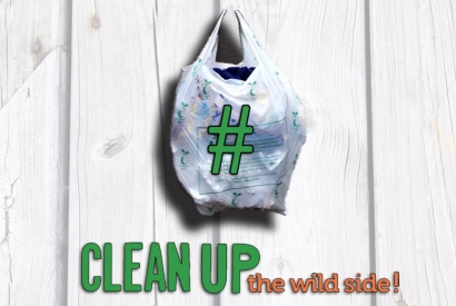 Clean Up the wild side - Wir räumen auf!