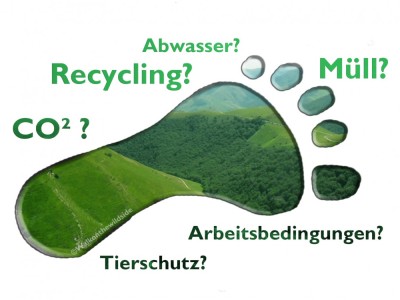 Wie nachhaltig sind unsere Marken?