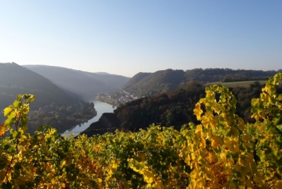 Koberner Burgpfad - Traumpfad an der Mosel