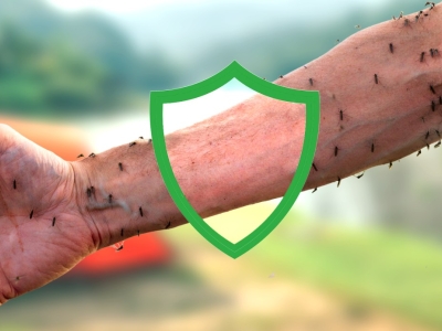 Mückenschutz für die Haut - Was hilft wirklich?